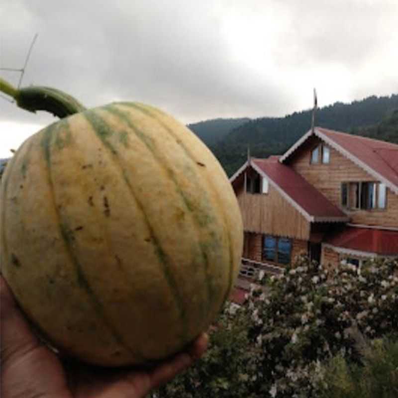 Perfect Farmstay