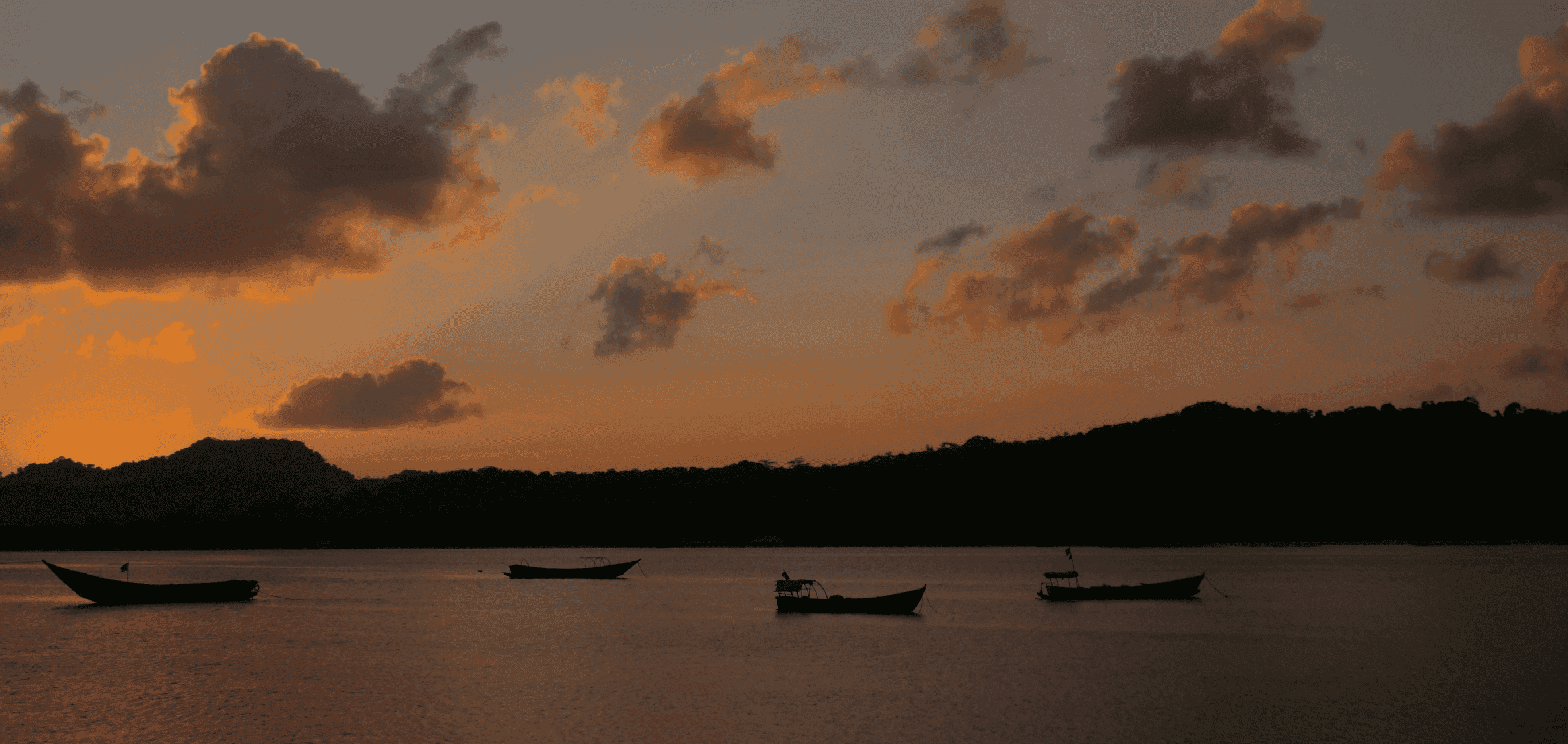 Form area background image