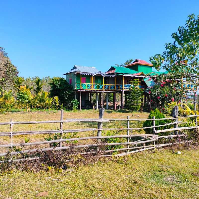 Cottage Amidst The Green