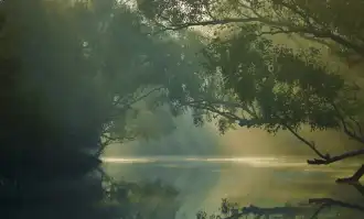 Banner image of Sundarban : The Forest Breathes and The Tiger Rules