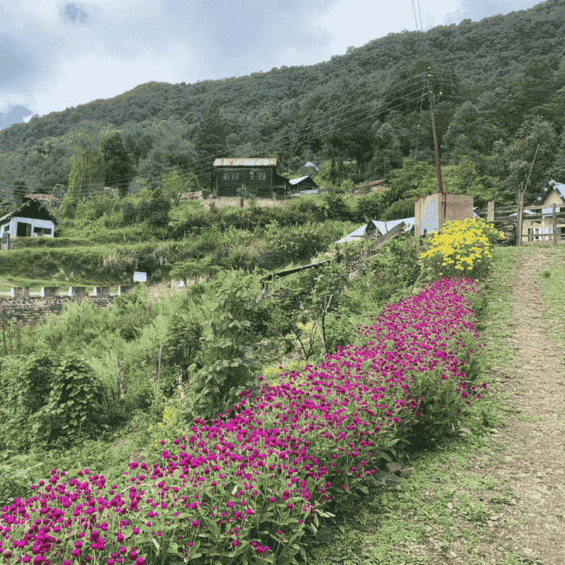 Picturesque Dzuleke Village