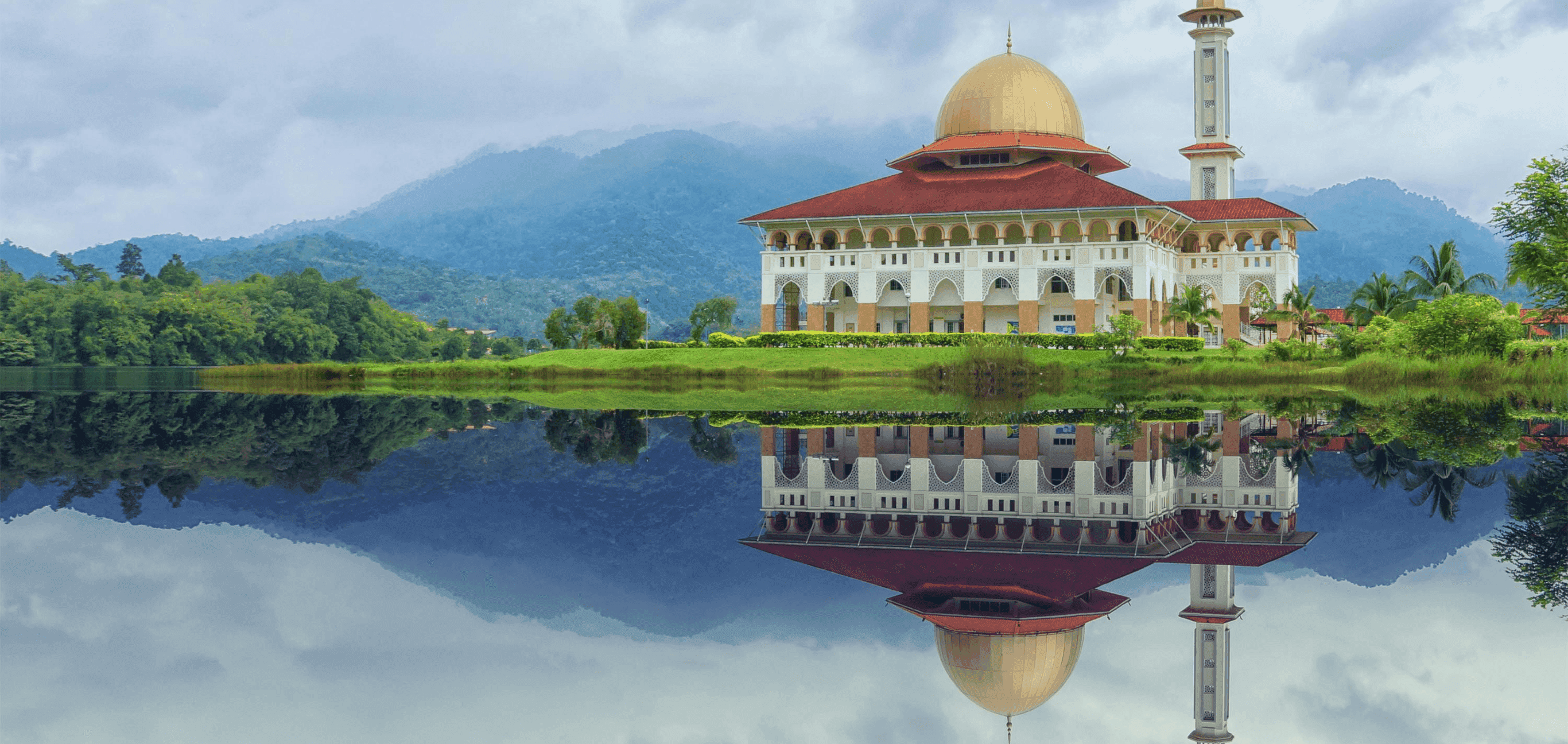 Form area background image