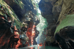 Image for Wari Chora