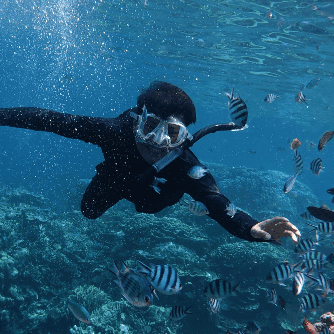 Snorkelling