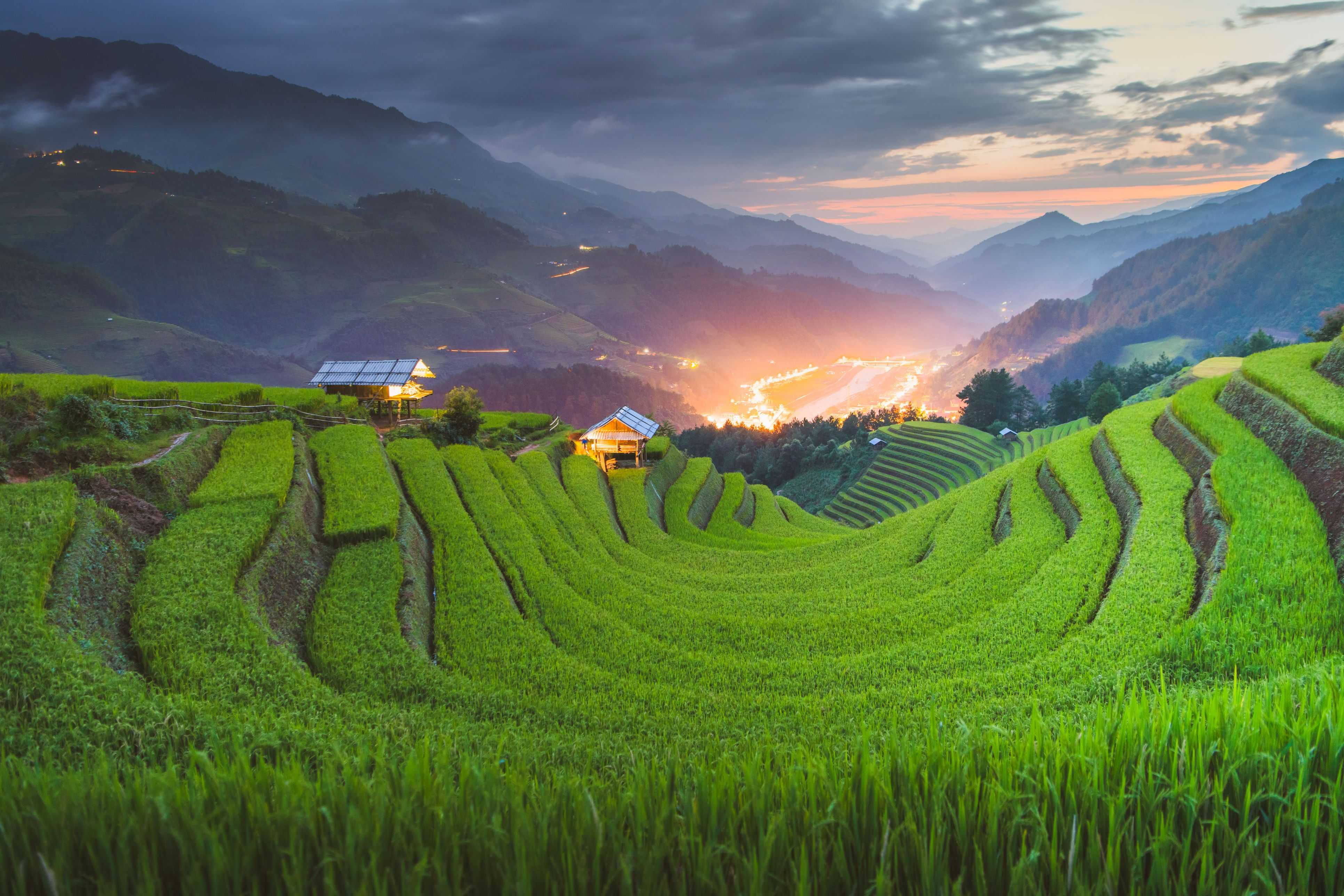Rice field at Sapa, Vietnam during sunset