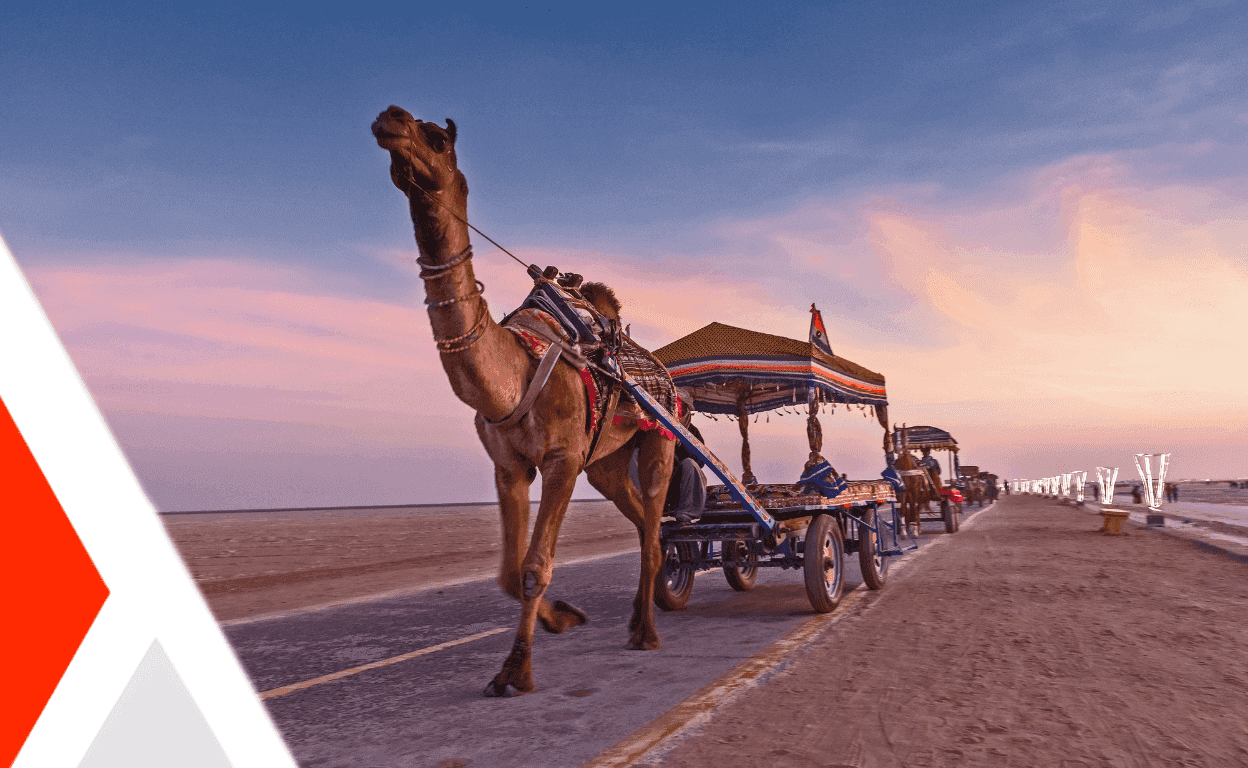 Featured Image for Gujarat : A Journey Through Timeless Wonders