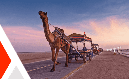 Featured Image for Gujarat : A Journey Through Timeless Wonders