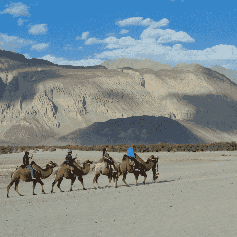 Amazing Nubra Valley