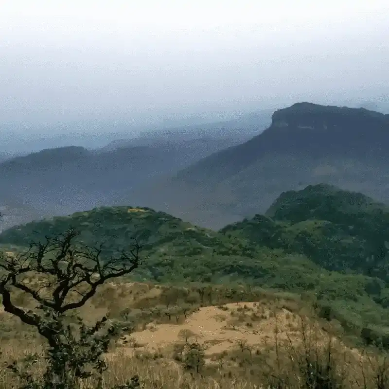 Panaromic Pachmarhi Hills