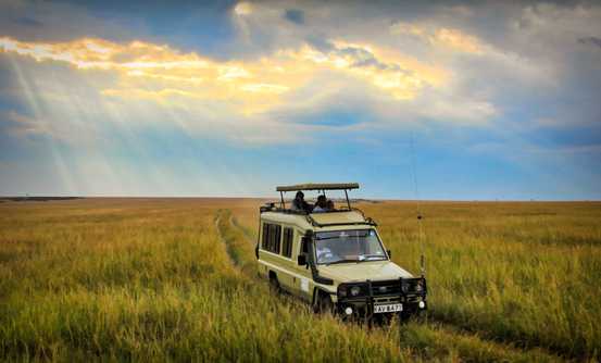 Banner image of Best Things To Do in Maasai Mara