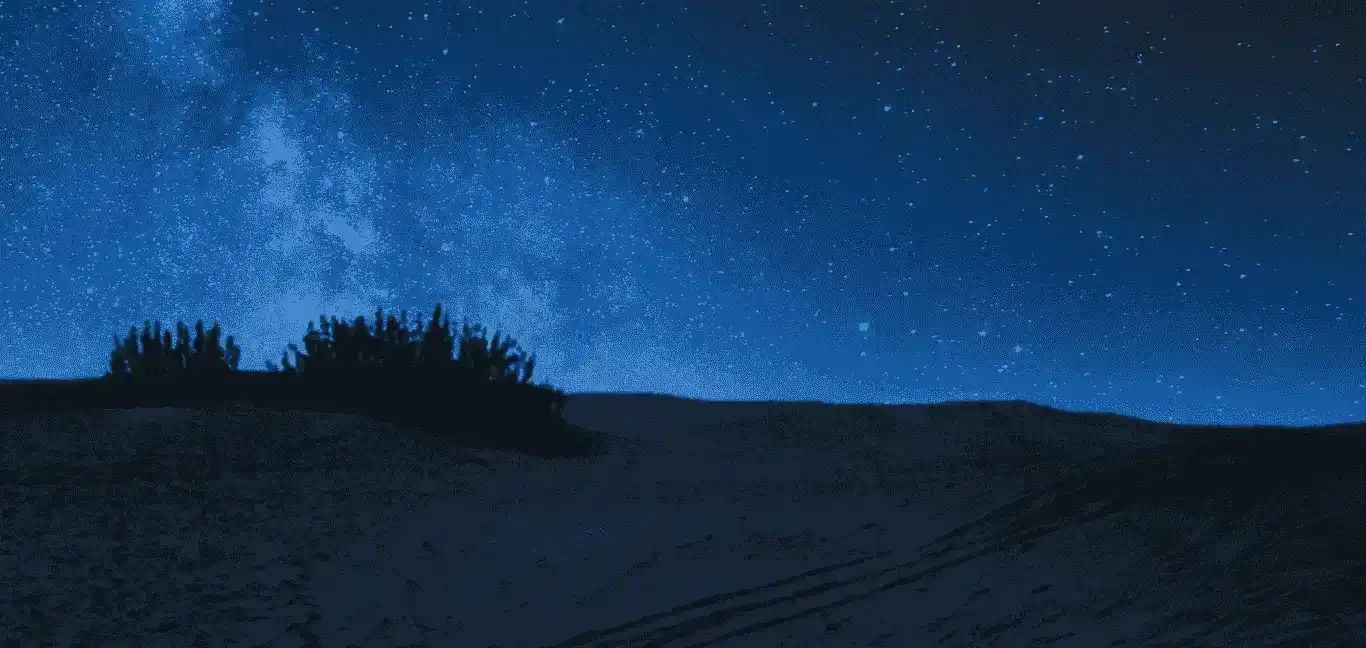 Form area background image