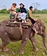 Jungle Safari at Corbett National Park