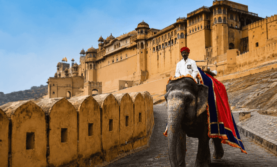 Banner image of Best Things To Do In Rajasthan