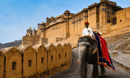 Card image for Best Things To Do In Rajasthan