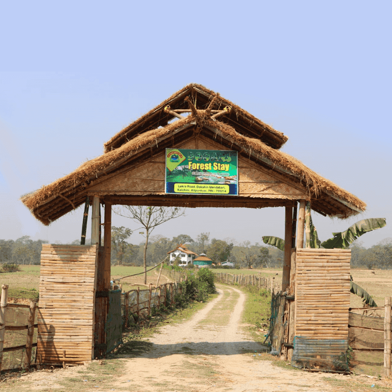 Welcome to Dooars Forest Stay