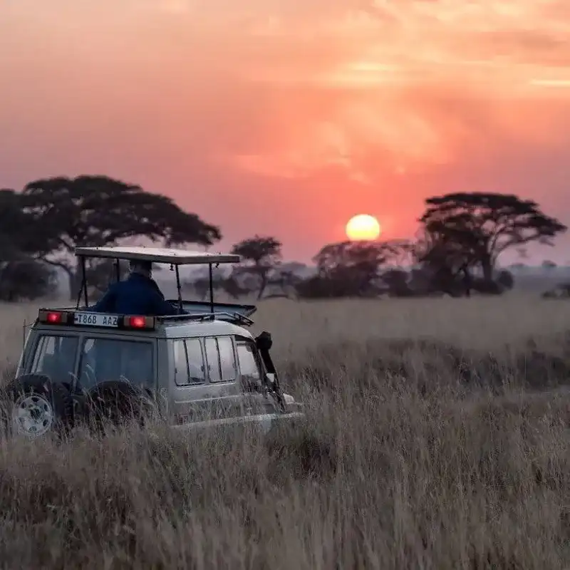 Sunset At Maasai Mara
