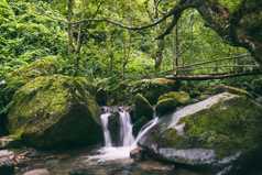 Image for Mtirala National Park