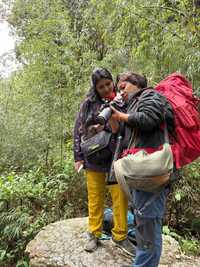 Rhododendron Trail, Barsey