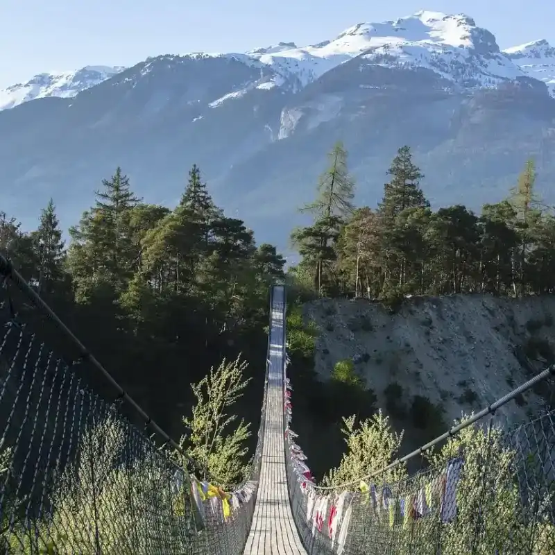 Punakha Suspension Bridge