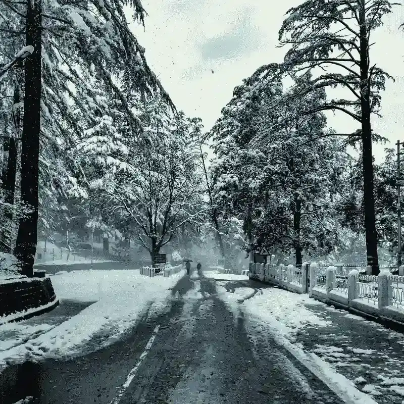 Romantic Ranikhet