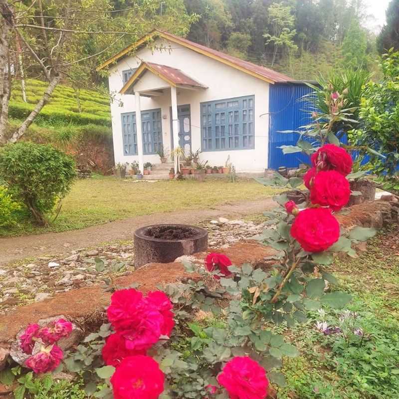 Specious Lawn
